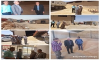 خرید بیش از 18 هزار تن گندم توسط شبکه تعاونی روستایی در شهرستان های شمالی استان ایلام